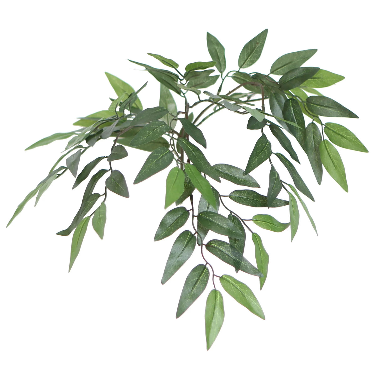 Vickerman Everyday 6' Indoor Artificial Green Smilax Executive Tree - Natural Dragonwood Trunks - Black Plastic potted - Maintenance Free