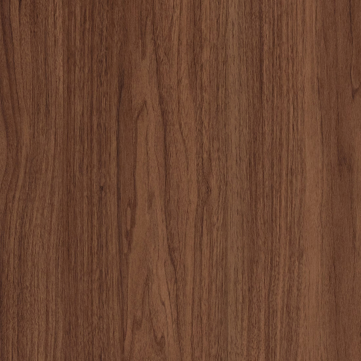 Evelyn&Zoe Modern/Contemporary 28 Wide Satin Walnut Accent Cabinet