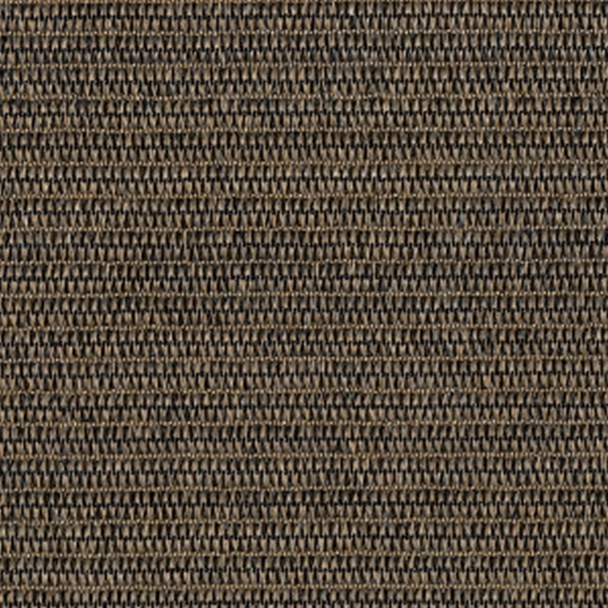 Coolaroo 4' x 6' Outdoor UV Blocking Cordless Solar Roller Shade Blind, Mocha