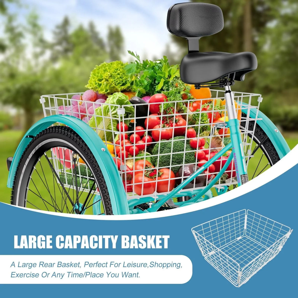 MOPHOTO Adult Tricycle 20/24/26 inch 3 Wheel Bicycle,3 Wheel Bikes for Adults,7 Speed Low Stepover Frame Tricycle with Basket/Bell,3 Wheel Bicycle for Seniors,Women,Men