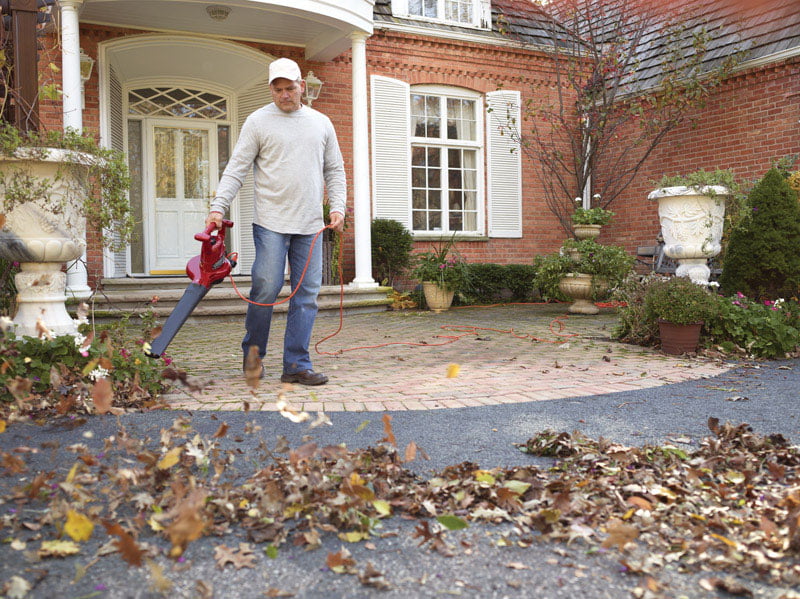 Toro Ultra Electric Handheld Leaf Blower/Vacuum