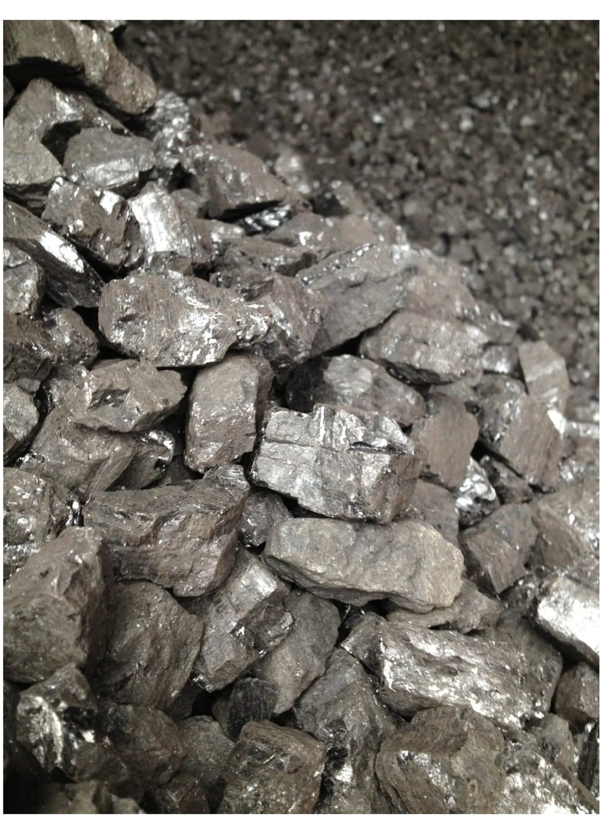 Bituminous Coal 50lbs