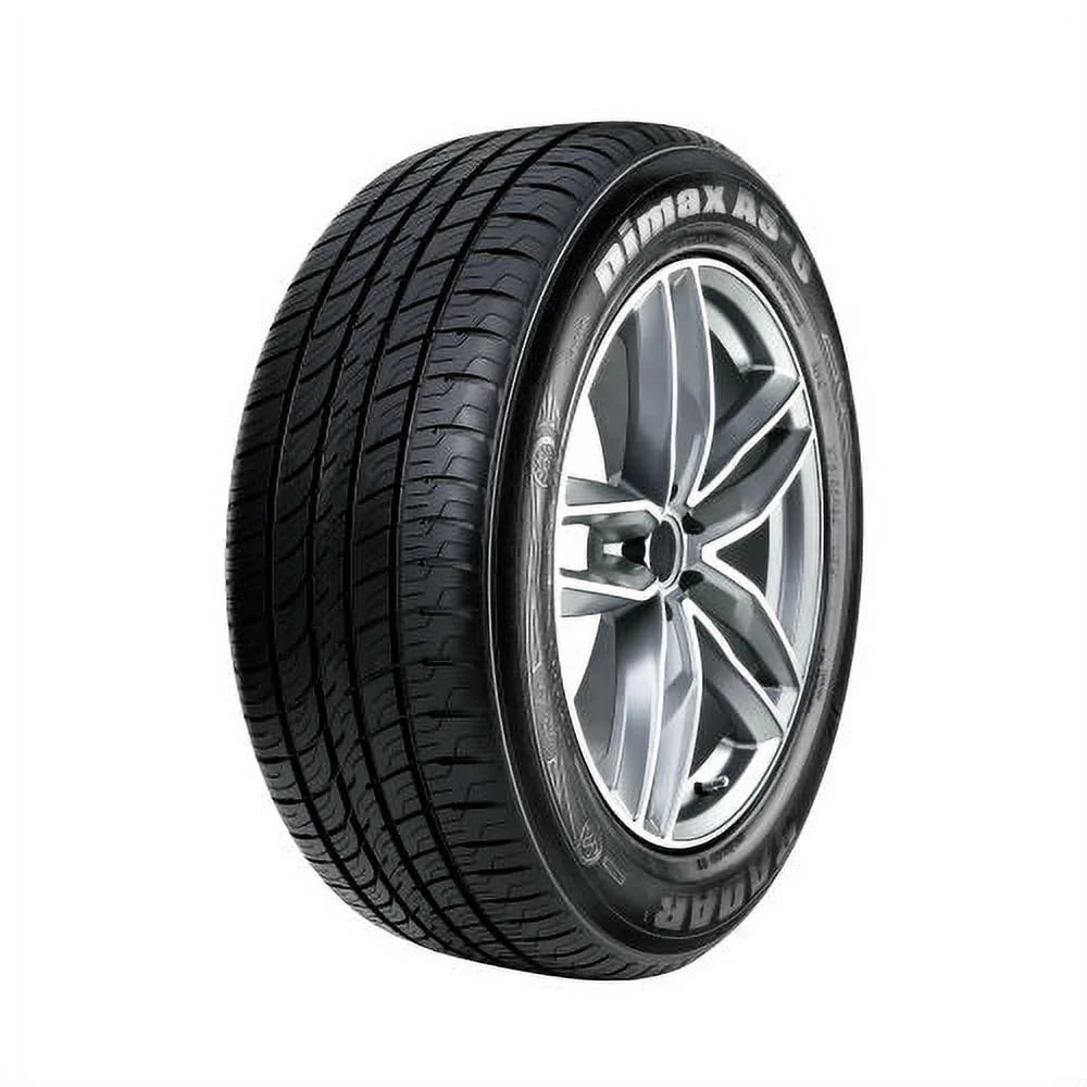 Set of 4 Radar Dimax AS-8 225/60R16 102V XL Tires