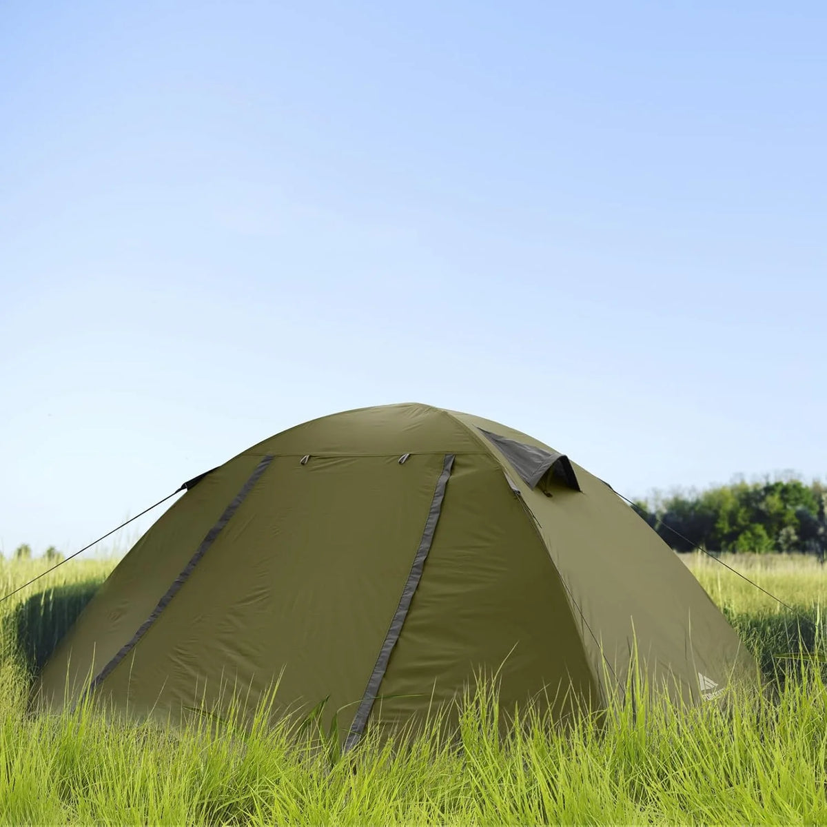 Camping Tent 2/3/4 Person, Professional Waterproof & Windproof Lightweight Backpacking Tent Suitable for Outdoor,Hiking,Camping, Mountaineering and Travel